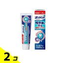 ポリデント デンタルラボ 残存歯を守る薬用ハミガキ 100g 2個セット