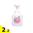 和光堂 ミルふわ 全身ベビーソープ 泡タイプ 450mL 2個セット