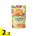 オリヒロ かんでおいしいチュアブルサプリ マルチビタミン&ミネラル 120粒 2個セット