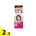 レディース トップシェード パウダーヘア ダークブラウン 20g 2個セット