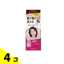 レディース トップシェード パウダーヘア ダークブラウン 20g 4個セット