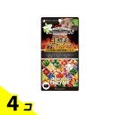 生酵素×ブラックジンジャー カプセル 60粒 4個セット