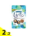 しおナイン 48カプセル 2個セット