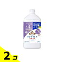 キレイキレイ薬用泡ハンドソープ フローラルソープの香り 詰め替え用 特大サイズ 800mL 2個セット