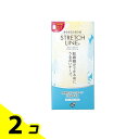 ピップベビー ストレッチライン マッサージクリーム 260g (ポンプタイプ) 2個セット