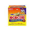 ホッカイロ ぬくぬく日和 貼るタイプ ミニ 30個入