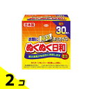 ホッカイロ ぬくぬく日和 貼るタイプ ミニ 30個入 2個セット