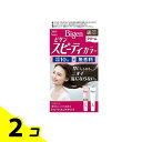 ビゲン スピーディカラー クリーム 4NA ナチュラリーブラウン 1組入 2個セット