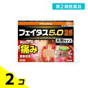第2類医薬品 フェイタス5.0温感大判サイズ 20枚 2個セット