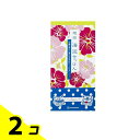 琉球海泥せっけん 100g (×2個入り) 2個セット