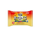 ホッカイロ 貼るタイプ レギュラー 10個入(4)