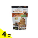 GEX フトアゴブレンドフード スティック 250g 4個セット