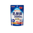 山本漢方 乳酸菌粒 90粒