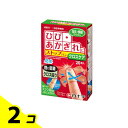 白十字 FCストップバン クロスケア 20枚 2個セット(4)