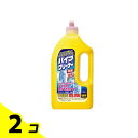 カネヨ パイプクリーナー 800g 2個セット