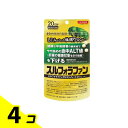 井藤漢方製薬 しじみの入った牡蠣ウコン スルフォラファン 60粒 (20日分) 4個セット