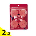 森下仁丹 梅仁丹 のど飴 60g 2個セット