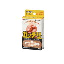 ニチバン ガッチリバン 絆創膏 Lサイズ 10枚入 (GB10L)