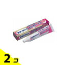 新ポリグリップ 安定&快適フィットEX 70g 2個セット