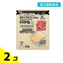 第2類医薬品 パスタイムLXプレミアム(7×10cm) 21枚 2個セット