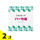 デイリーアロマジャパン 北海道ハッカ油 アロマバスソルト 40g 2個セット