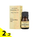 デイリーアロマ 温州みかん 3mL 2個セット(4)