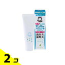 シャボン玉薬用せっけんハミガキ 80g 2個セット