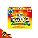 ホッカイロ 貼るタイプ レギュラー 30個入 2個セット