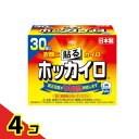 ホッカイロ 貼るタイプ レギュラー 30個入 4個セット