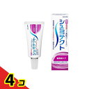 シュミテクト 歯周病ケア 薬用ハミガキ 22g 4個セット
