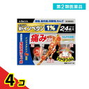 第2類医薬品 新インペタン1% 24枚 4個セット