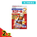 第2類医薬品 カコナール2 45mL (×2本) 2個セット