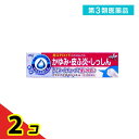第3類医薬品 プラミナかゆみジェルm 20g 2個セット