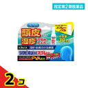 指定第2類医薬品 ラクピオンHスプレー 30mL 2個セット