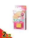 ケアリーヴ パワー&フィット Lサイズ 12枚入 (CLP12L) 2個セット