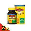 ネイチャーメイド コエンザイムQ10 25日分 50粒入 2個セット