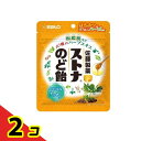 佐藤製薬 ストナのど飴 60g 2個セット
