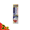 カムテクト プレミアム ホワイトニング 105g (増量品) 2個セット