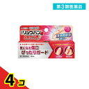第3類医薬品 大木のリュウバン はけつき (大木の流絆B) 12mL 4個セット