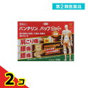 第2類医薬品 バンテリンコーワパップホット 24枚 2個セット