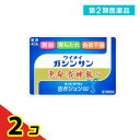第2類医薬品 恵命我神散 S 散剤タイプ 40包 2個セット