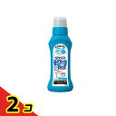 NANOX ナノックス シミ用 部分洗い剤(漂白剤) 160g 2個セット