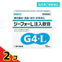 指定第2類医薬品 ジーフォーL注入軟膏 10個入 2個セット