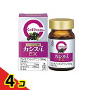 森下仁丹 カシス-i EX 60粒 4個セット