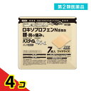 第2類医薬品 パスタイムLX-L ワイドサイズ(10×14cm) 7枚 4個セット