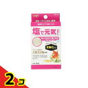 GEX 塩で元気 100g 2個セット