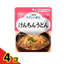 やさしい献立けんちんうどん 120g 4個セット