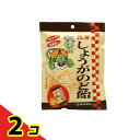 カイゲンファーマ 改源しょうがのど飴 73g 2個セット
