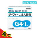 指定第2類医薬品 ジーフォーL注入軟膏 10個入 4個セット