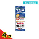 第2類医薬品 タナールAIクリーム 100g 4個セット
